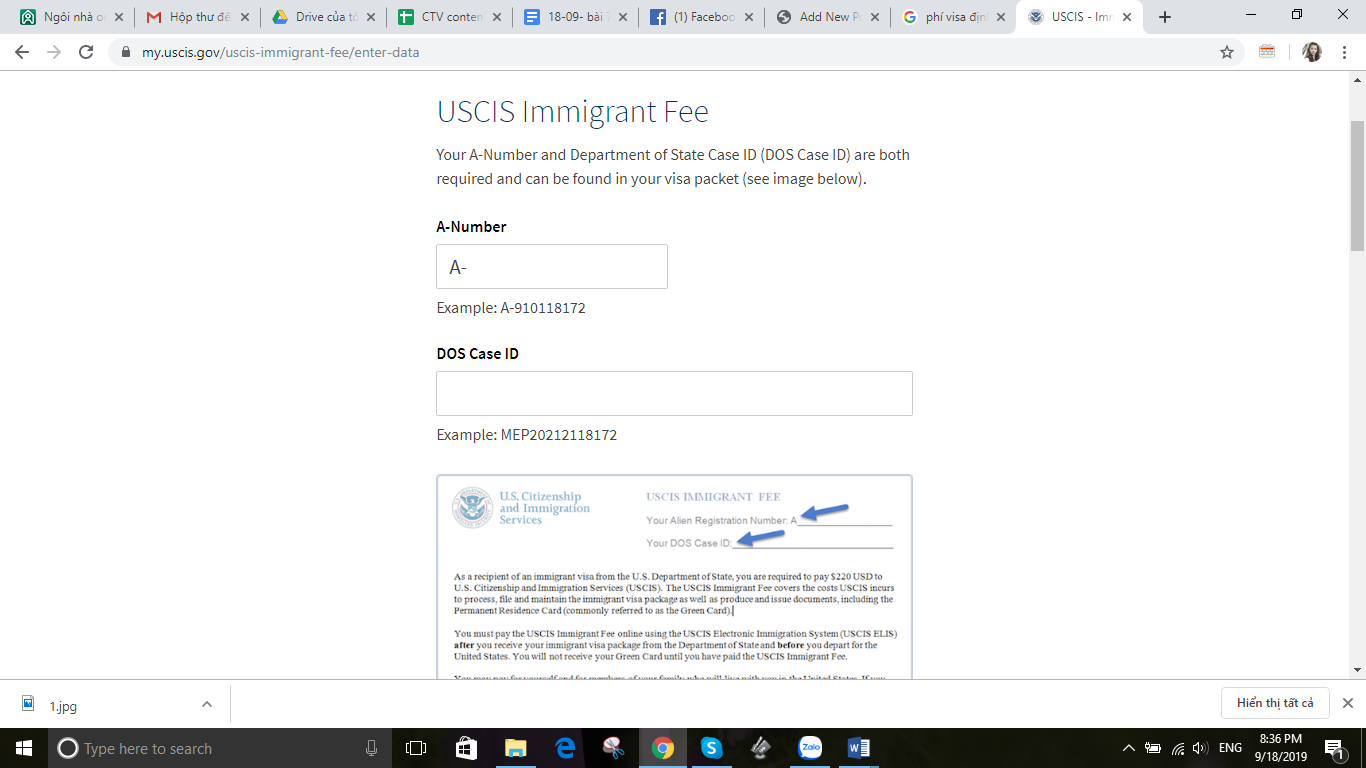Biểu mẫu đóng phí visa định cư Mỹ online